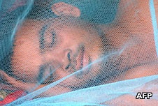 Drug-resistant malaria 抗药性疟疾