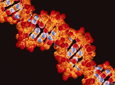 【BBC 地道英语】It's in her genes 天性使然